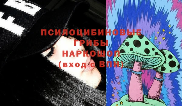 гашик Абинск