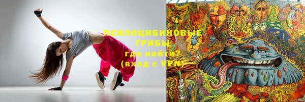 гашик Абинск