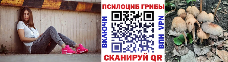 MEGA ССЫЛКА Партизанск Псилоцибиновые грибы Psilocybe